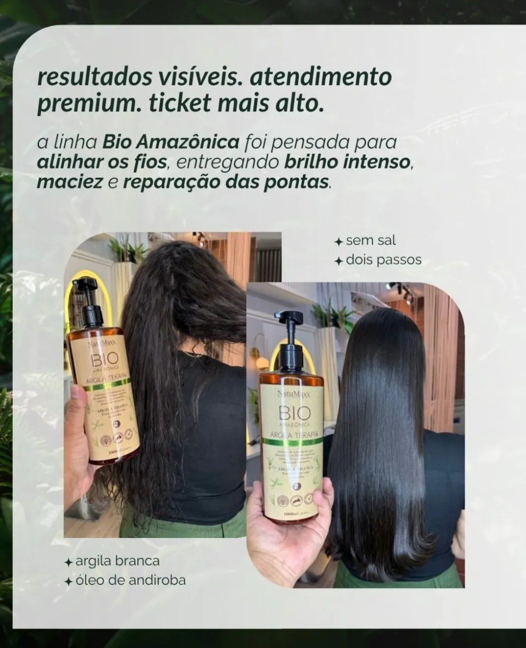 Bio Amazônica, slide 2